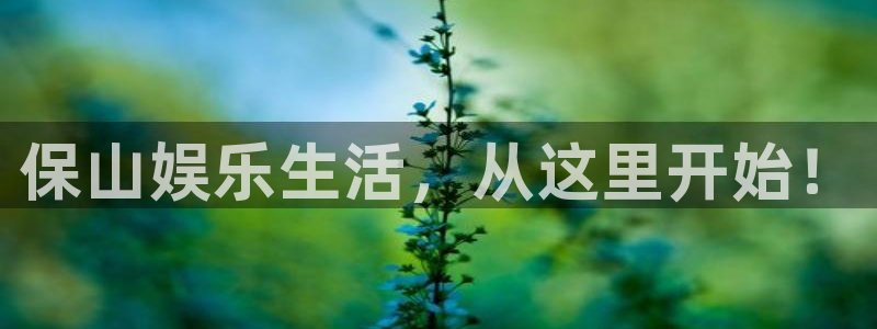 壹号大舞台娱乐app下载安装：保山娱乐生活，从这里开始！
