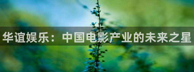 长征平台放水时间：华谊娱乐：中国电影产业的未来之星