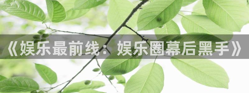 长征平台加拿大：《娱乐最前线：娱乐圈幕后黑手》