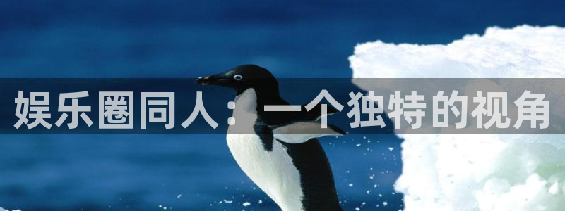 长征平台账号注册入口：娱乐圈同人：一个独特的视角