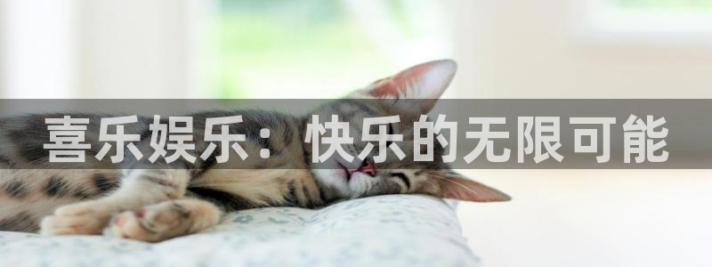 长征平台平台官网入口下载：喜乐娱乐：快乐的无限可能