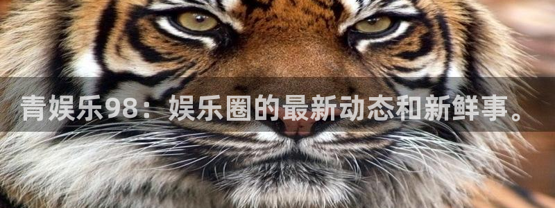 长征平台游戏官网平台：青娱乐98：娱乐圈的最新动态和新鲜事。