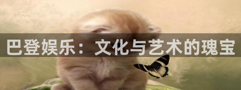 壹号app官网：巴登娱乐：文化与艺术的瑰宝