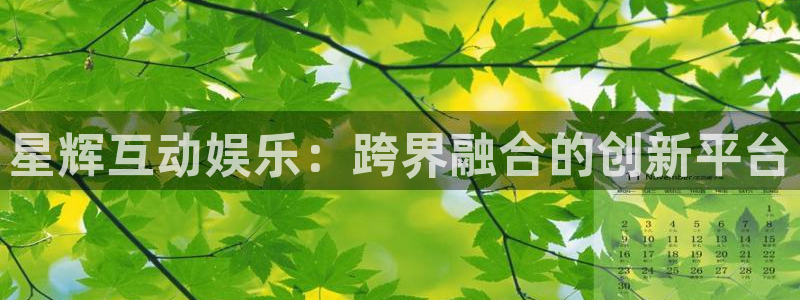 长征平台 - ng大舞台,有梦你就来：星辉互动娱乐：跨界融合的创新平台