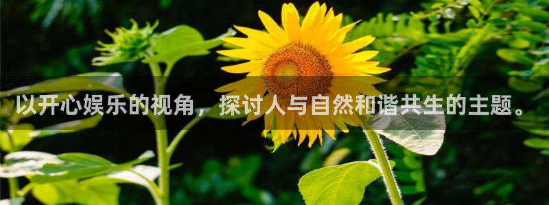长征平台pg：以开心娱乐的视角，探讨人与自然和谐共生的主题。