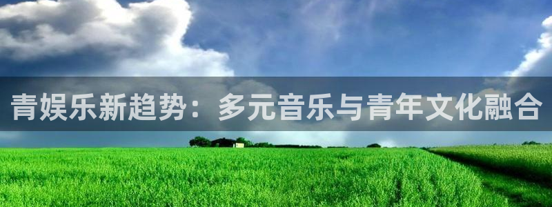 壹号大舞台28国际大舞台：青娱乐新趋势：多元音乐与青年文化融合