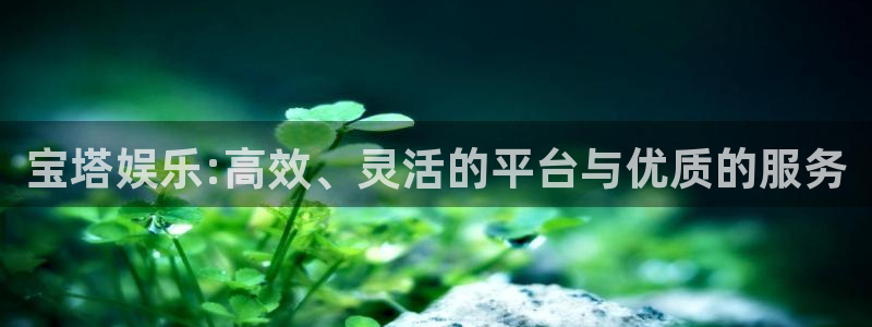 长征平台平台：宝塔娱乐:高效、灵活的平台与优质的服务