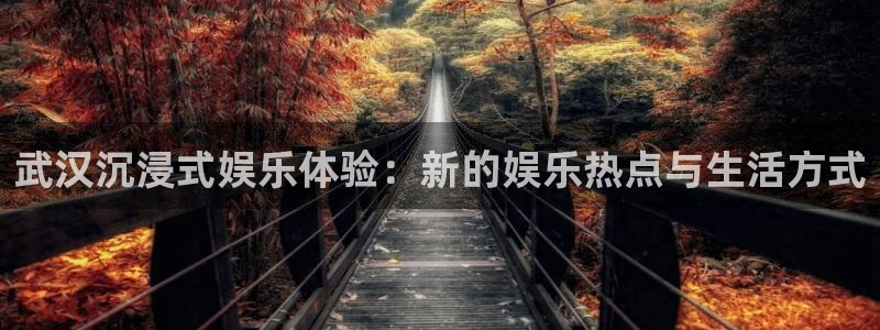 长征平台登录：武汉沉浸式娱乐体验：新的娱乐热点与生活方式