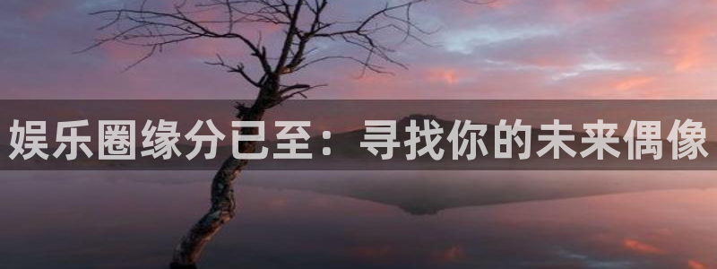 长征平台电子游戏官网：娱乐圈缘分已至：寻找你的未来偶像