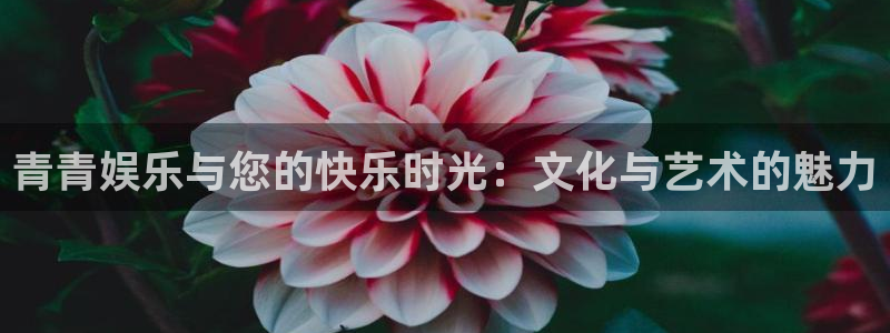 长征平台平台app下载安装：青青娱乐与您的快乐时光：文化与艺术的魅力