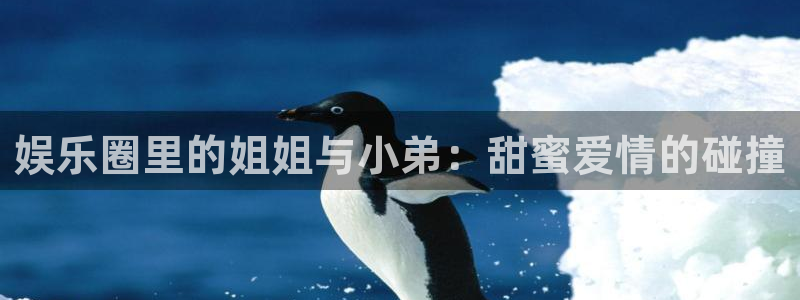 长征平台.ccm官网版：娱乐圈里的姐姐与小弟：甜蜜爱情的碰撞