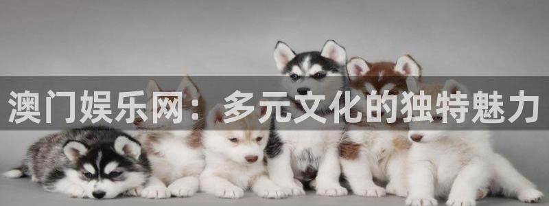 壹号注册入口app下载：澳门娱乐网：多元文化的独特魅力
