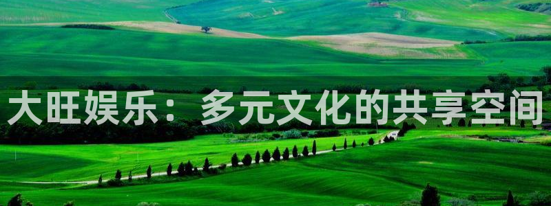 壹号大舞台28国际大舞台：大旺娱乐：多元文化的共享空间